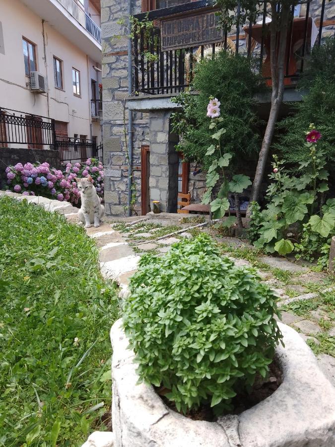 Hotel Arka Metsovo Exterior foto